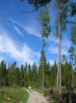 DSCN1796.JPG